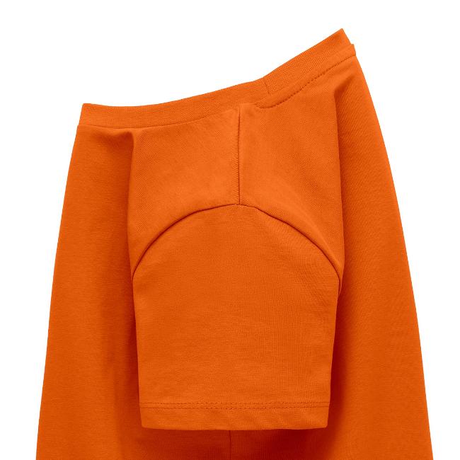 CHESSBASE 17 - Schach, Läufer, Springer