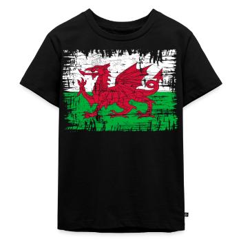 Wales flag St Davids Day Cymraeg Welsh coat of arms - Kids Premium Organic T-Shirt - black - Front - Mikhail (115cm)