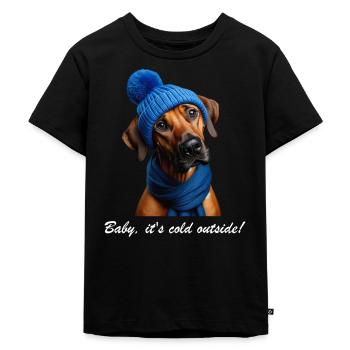 Ridgeback - Baby, it's cold outside! - Kinder Premium Bio T-Shirt - Schwarz - Vorne - Mikhail (115cm)
