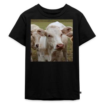 Kuh Poster - Kinder Premium Bio T-Shirt - Schwarz - Vorne - Mikhail (115cm)