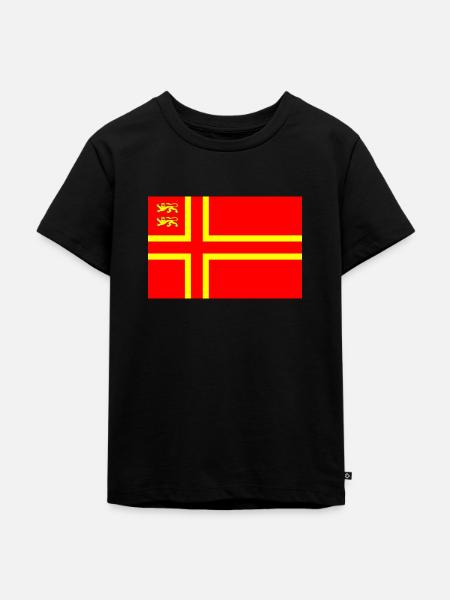 drapeau normand - T-shirt Premium bio Enfant - noir
