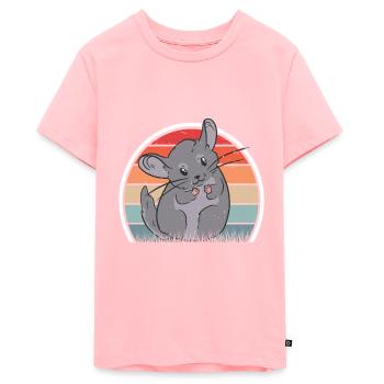 Chinchilla Retro Wollmaus Vintage - Teenager Premium Bio T-Shirt - Rosa - Vorne
