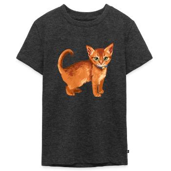 Firestar Feuerstern Rusty Sammy rote Katze Warrior - Teenager Premium Bio T-Shirt - Anthrazit meliert - Vorne - AI Model Teenager Male light (155cm)