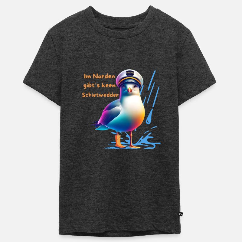Aurora borealis - Teenager Premium Organic T-Shirt - heather anthracite