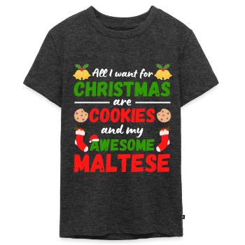Christmas Maltese Biscuits - Teenager Premium Organic T-Shirt - heather anthracite - Front - AI Model Teenager Male light (155cm)