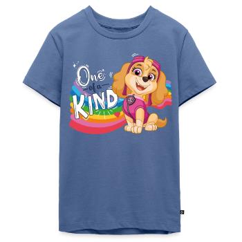 Paw Patrol Skye Regenbogen-Design - Teenager Premium Bio T-Shirt - Taubenblau - Vorne - AI Model Teenager Male light (155cm)