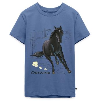 Ostwind Hengst Ostwind im Galopp - Teenager Premium Bio T-Shirt - Taubenblau - Vorne - AI Model Teenager Male light (155cm)