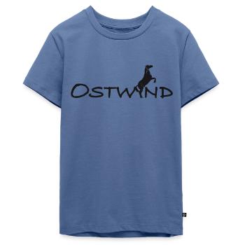 OSTWIND Aufbruch Nach Ora Steigender Hengst - Teenager Premium Bio T-Shirt - Taubenblau - Vorne - AI Model Teenager Male light (155cm)