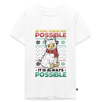 Be Kind Christmas Message - Teenager Premium Bio T-Shirt - Weiß - Vorne - AI Model Teenager Male light (155cm)