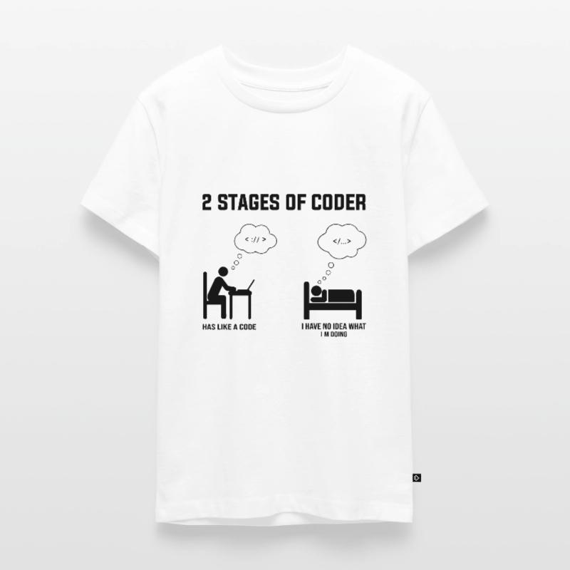 2 Stufen des Programmierers - Geschenkidee Humor Code Codierung Teenager Premium Bio T-Shirt