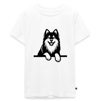Finnish Lapphund - Teenager Premium Organic T-Shirt - white - Front - AI Model Teenager Male light (155cm)