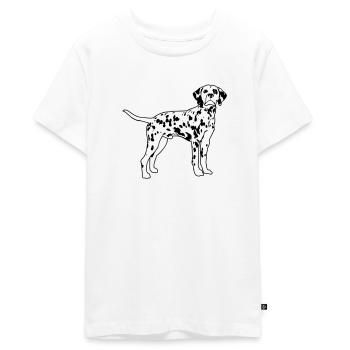 Dalmatian de - Teenager Premium Bio T-Shirt - Weiß - Vorne - AI Model Teenager Male light (155cm)
