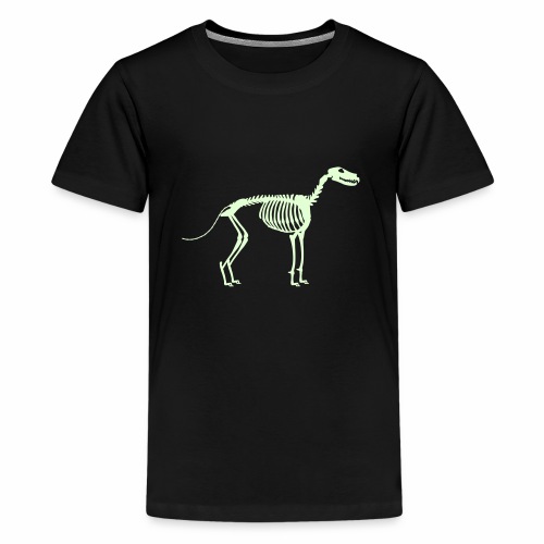 Paikka Luuranko Stay Skeleton - Teinien premium t-paita