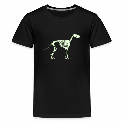 Paikka Luuranko Stay Skeleton - Teinien premium t-paita