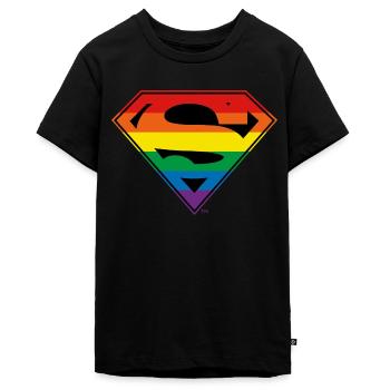 Justice League Superman Regenbogen Logo - Teenager Premium Bio T-Shirt - Schwarz - Vorne - AI Model Teenager Male light (155cm)