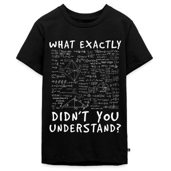 Mathe Lehrer - Teenager Premium Bio T-Shirt - Schwarz - Vorne - AI Model Teenager Male light (155cm)
