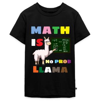 Math saying Math Math Teacher - Teenager Premium Organic T-Shirt - black - Front - AI Model Teenager Male light (155cm)