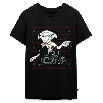 Harry Potter X-Mas Dobby Weihnachtself - Teenager Premium Bio T-Shirt - Schwarz - Vorne - AI Model Teenager Male light (155cm)