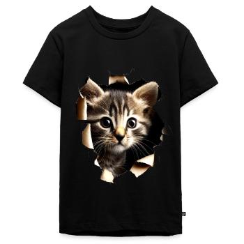 Cat Motif Art Cat Design Domestic Cat Meow Cat - Teenager Premium Organic T-Shirt - black - Front - AI Model Teenager Male light (155cm)