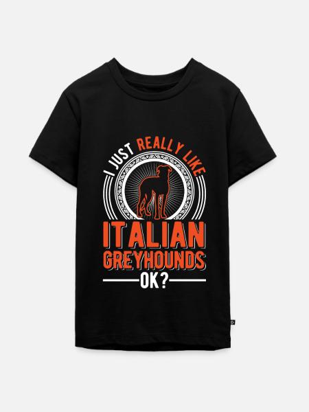 Italienischer Windhund Geschenk - Teenager Premium Bio T-Shirt - Schwarz