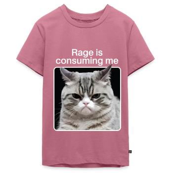 Rage Consumes Me Cat - Teenager Premium Organic T-Shirt - mauve - Front - AI Model Teenager Male light (155cm)