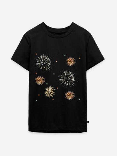 Feuerwerk - Teenager Premium Bio T-Shirt - Schwarz