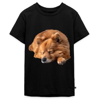 Spitz finlandais - T-shirt Premium bio Ado - noir - Devant - AI Model Teenager Male light (155cm)