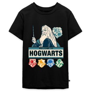 Harry Potter Willkommen In Hogwarts Dumbledore - Teenager Premium Bio T-Shirt - Schwarz - Vorne - AI Model Teenager Male light (155cm)