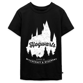 Harry Potter École de Sorcellerie - T-shirt Premium bio Ado - noir - Devant - AI Model Teenager Male light (155cm)