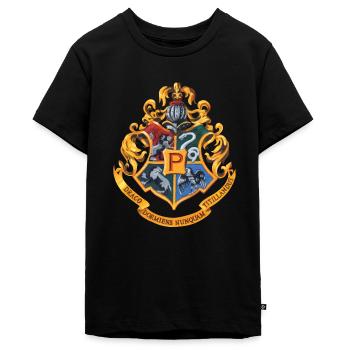 Harry Potter Emblème Poudlard Peinture - T-shirt Premium bio Ado - noir - Devant - AI Model Teenager Male light (155cm)