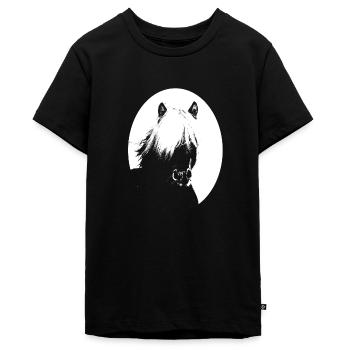 Einschulung Islandpferde Kinder Mädchen - Teenager Premium Bio T-Shirt - Schwarz - Vorne - AI Model Teenager Male light (155cm)