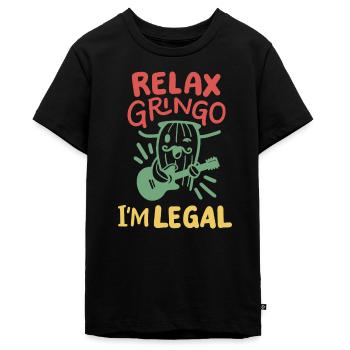 Mexikanische Einwanderer Cinco de Mayo Party - Teenager Premium Bio T-Shirt - Schwarz - Vorne - AI Model Teenager Male light (155cm)