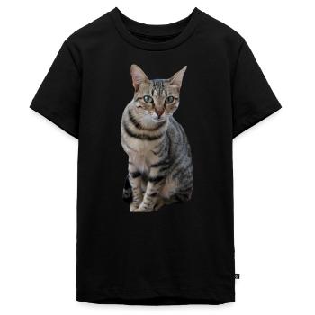 Katze Kätzchen - Teenager Premium Bio T-Shirt - Schwarz - Vorne - AI Model Teenager Male light (155cm)