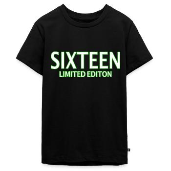 16. Geburtstag 16 Jahre Sechzehn Geschenk - Teenager Premium Bio T-Shirt - Schwarz - Vorne - AI Model Teenager Male light (155cm)