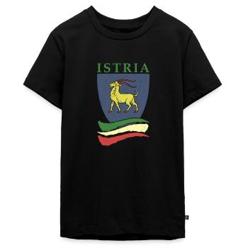Istrien Tourist Hrvatska Kroatein Urlaub Balkan Re - Teenager Premium Bio T-Shirt - Schwarz - Vorne - AI Model Teenager Male light (155cm)