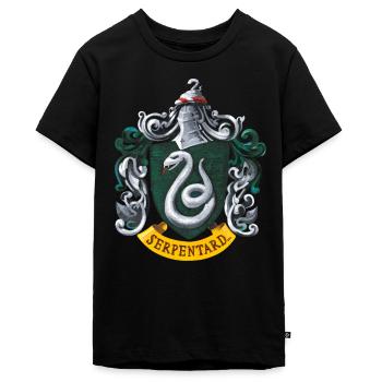 Harry Potter Emblème Serpentard Peinture - T-shirt Premium bio Ado - noir - Devant - AI Model Teenager Male light (155cm)