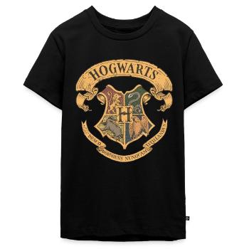 Harry Potter Emblème Hogwarts Vintage - T-shirt Premium bio Ado - noir - Devant - AI Model Teenager Male light (155cm)