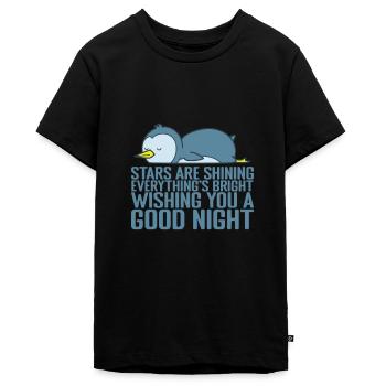 Les étoiles brillent, tout est brillant - T-shirt Premium bio Ado - noir - Devant - AI Model Teenager Male light (155cm)