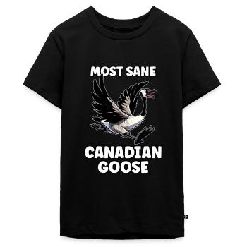 Sjov canadisk gås meme - Teenager Premium økologisk T-shirt - sort - Foran - AI Model Teenager Male light (155cm)