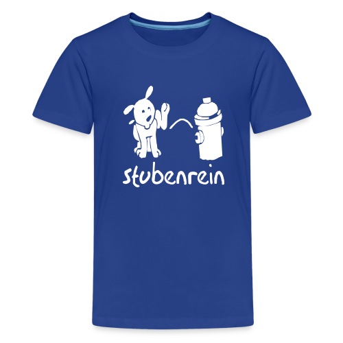 stubenrein - Teenager Premium T-Shirt