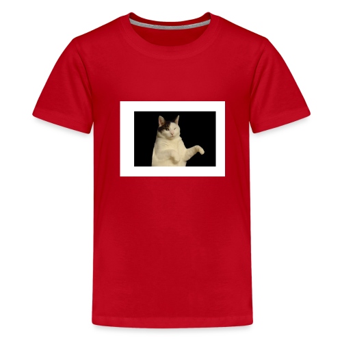 Kitty cat - Teenager Premium T-shirt