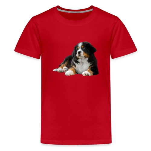 Berner Sennenhund - Teenager Premium T-Shirt