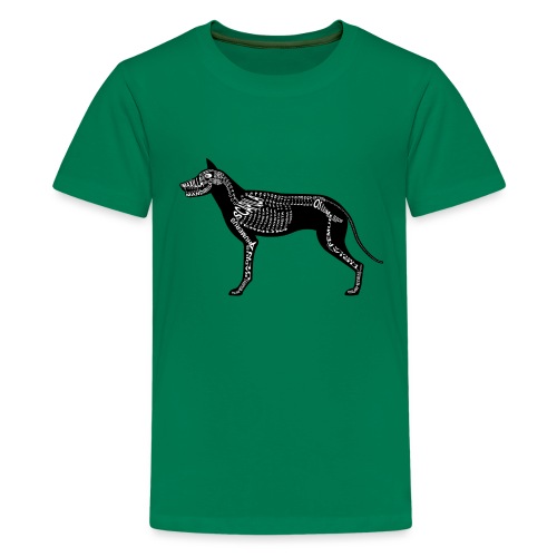 koira luuranko - Teinien premium t-paita