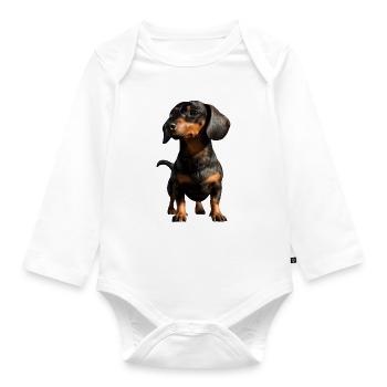 Dachshund, Dachshund, Miniature Dachshund, Dachshund Club, Dachshund - Organic Longsleeve Baby Bodysuit - white - Front
