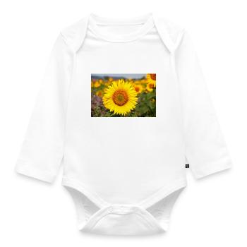 Sunflower flower head protrudes from a field - Organic Longsleeve Baby Bodysuit - white - Front