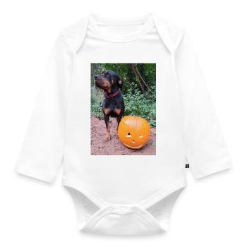 Kürbis Hund Halloween Herbst - Baby Bio-Langarm-Body - Weiß - Vorne