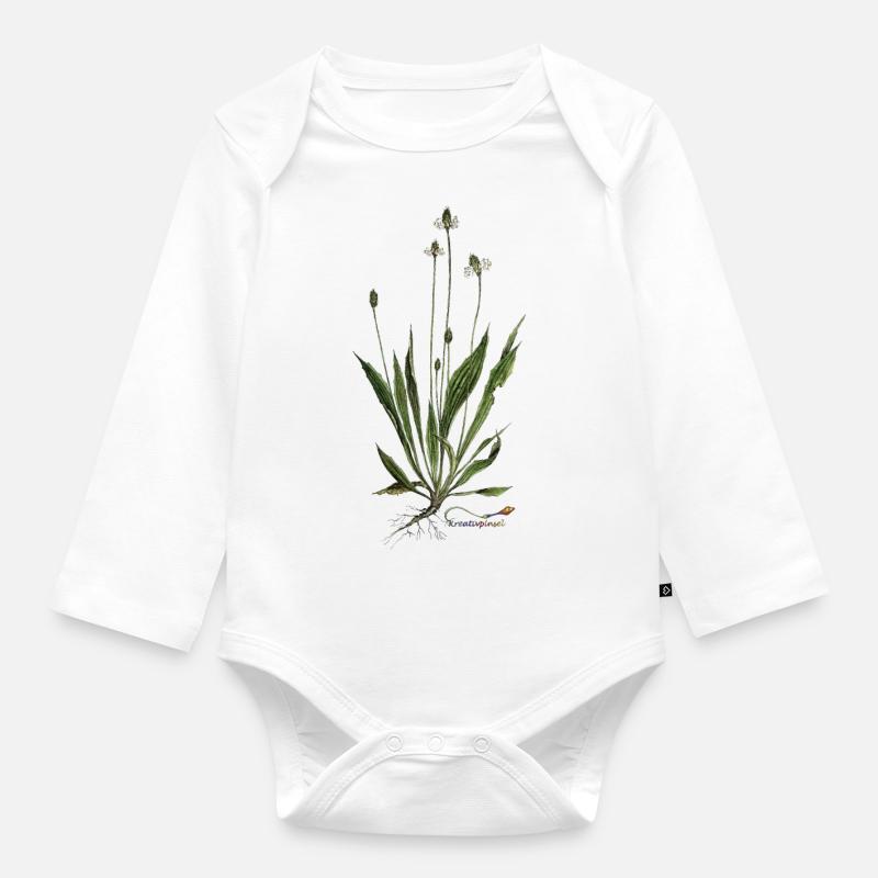 Spitz-Wegerich - Baby Bio-Langarm-Body - Weiß