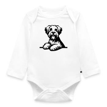 Dandie Dinmont Terrier - Body Bébé bio manches longues - blanc - Devant