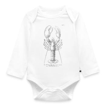 Hummer: Amerikanischer Hummer (Vintage Illustration) - Baby Bio-Langarm-Body - Weiß - Vorne
