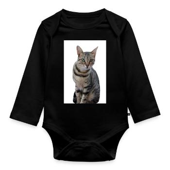 Chat chat noir chaton - Body Bébé bio manches longues - noir - Devant
